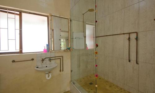 Island Vibe Knysna Hostel Room Type - Bed in 6-Bed Mixed Dormitory Room