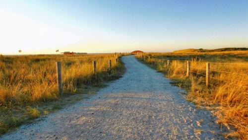 Molecaten Park Noordduinen - image 14