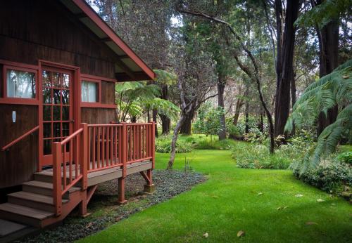 Apartment with Garden View