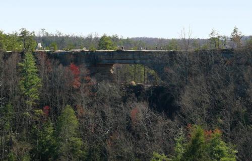 Big South Fork Trail Lodge