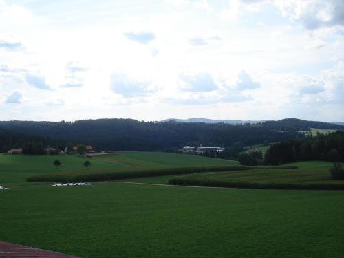Skats, Haus Hönigsgrub (Haus Honigsgrub) in Rinchnach