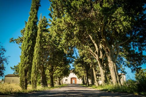 Les Gites du Chateau St Jacques d'Albas