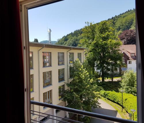 ทัศนียภาพ, นาชิรา ชวาร์ซวาลด์ (Nashira Schwarzwald) in บาด เฮร์เรนาลบ์