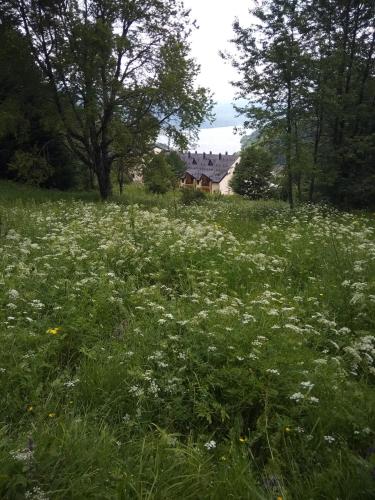 Mavrovo Forest Apartments