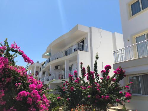 Bardakci Residence In Bodrum City Turkey Reviews Prices Planet Of Hotels