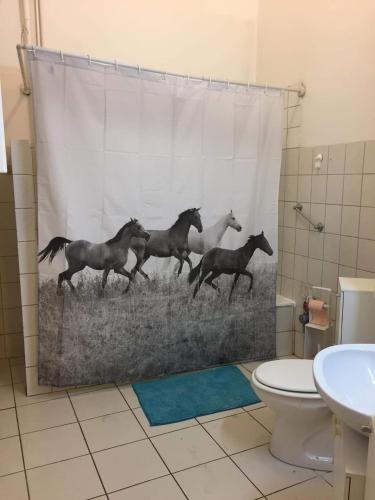  One private bedroom with attached washroom in Budapest
