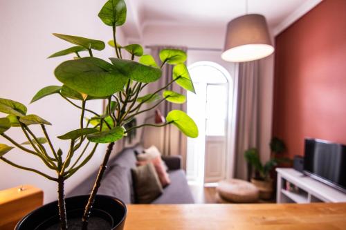 Faro Central - Holiday Apartments, Faro