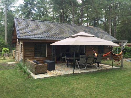  huisjepoppel in 2382 Ravels