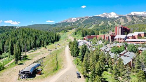 Cedars 29 in Breckenridge, USA