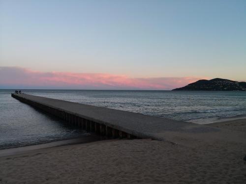 T2 rez de jardin front de mer