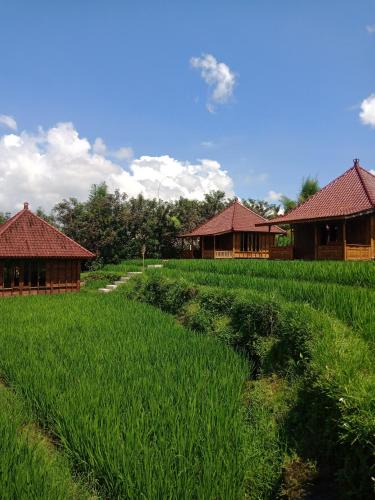 Ubud Sawah Scenery Villa and Homestay