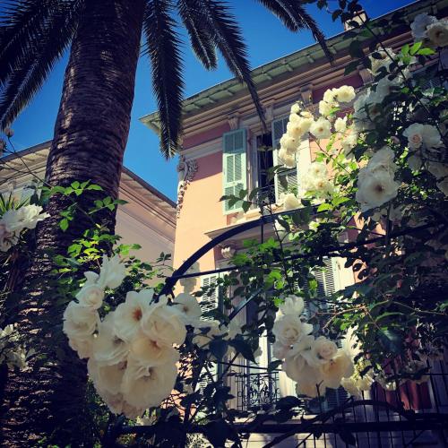 Hotel Villa Rose, Nice