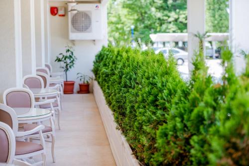 Hotel Sulina International in مامايا