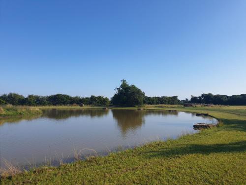 Home Farm Park - image 12
