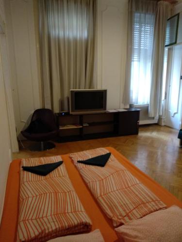 HoBar Hostel - image 2