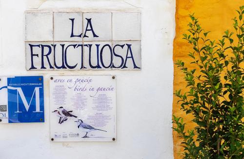 La Fructuosa - image 10