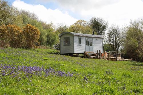 Old Rose Shepherds Hut