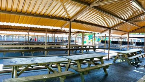 Bungalows Alpha - image 6