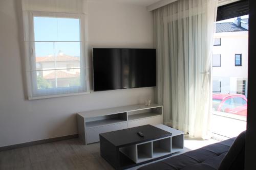 Pansion Leggero - image 7
