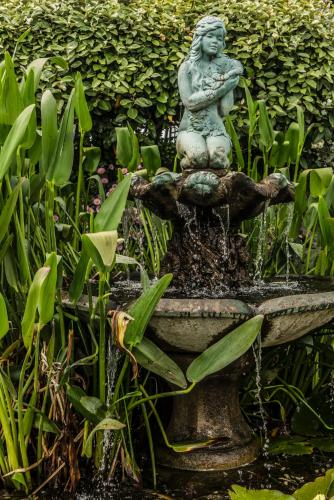 The Bay Hotel - image 8