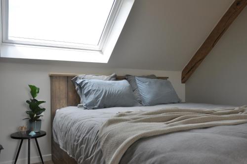 Bed en Bezem photo 3