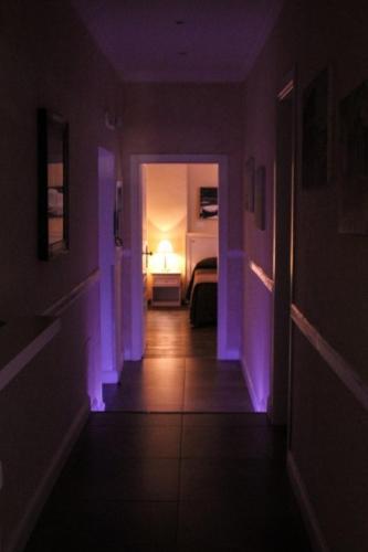 la favola di san pietro