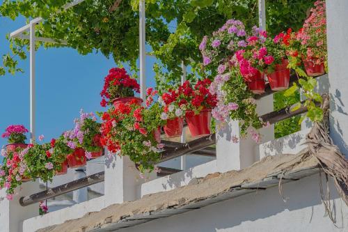  Apartamentos Rurales Las Chimeneas, Pension in Capileira