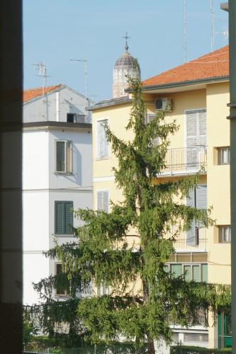 Holiday House