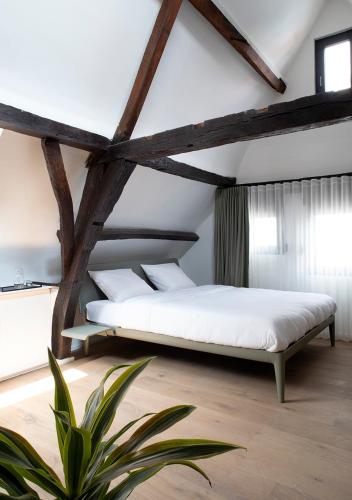 The Greenhouse – Antwerp, DC