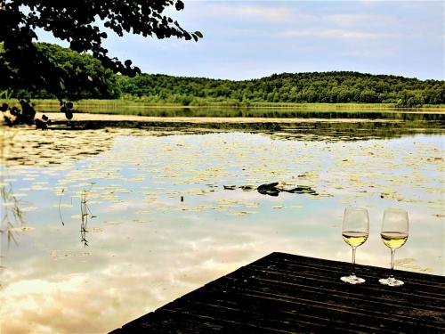 Ferienhaus am See