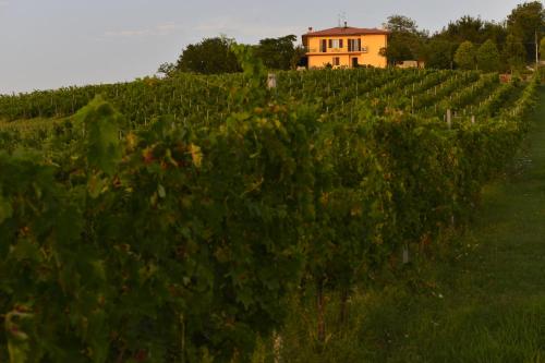  B&B Quattro Stagioni in Gli Angeli