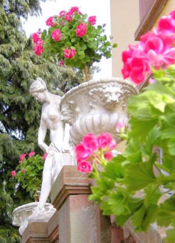 Hôtel Le Manoir - image 9