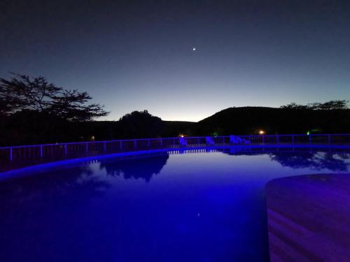 בריכת שחיה, Jambo Mara Safari Lodge in Narok