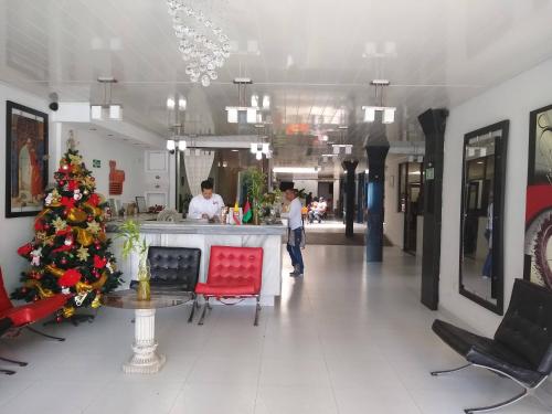 Lobby, Hotel Nova Park in Arauca