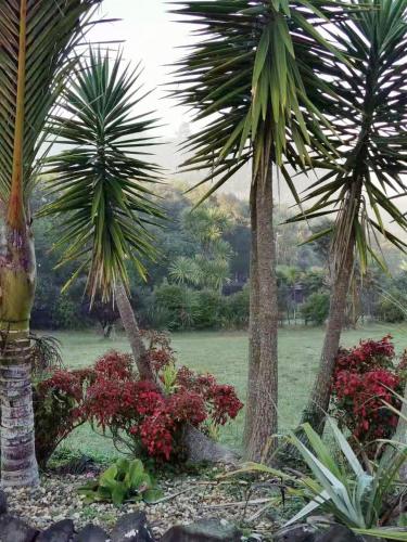 西奥克兰浪漫怀旧度假屋