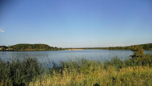 "Elbparadies" Ferienhaus am Niegripper See mit Pool