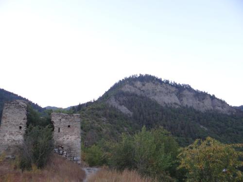 Dalko, Боржоми (фото 6)