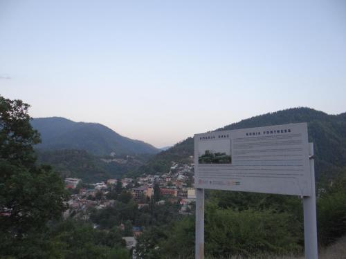Dalko, Боржоми (фото 8)