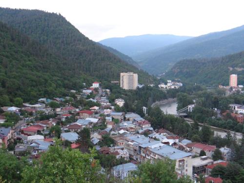 Dalko, Боржоми (фото 10)