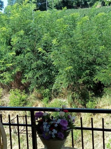 Vistas, Locazione Turistica Monteleto House in Gubbio