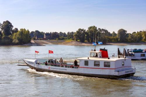 Rhinkieker Rees in รีส์