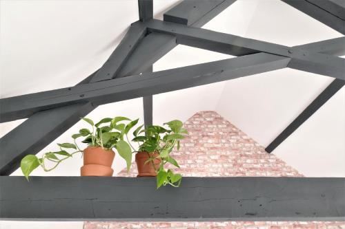 Winston B&B - image 6