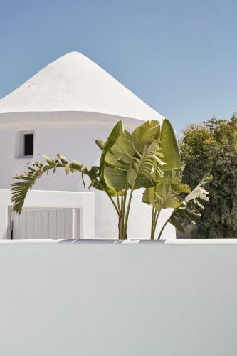 Nikki Beach Resort & Spa Santorini - image 9