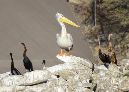 Von Bach Dam Resort Von Bach Dam Resort