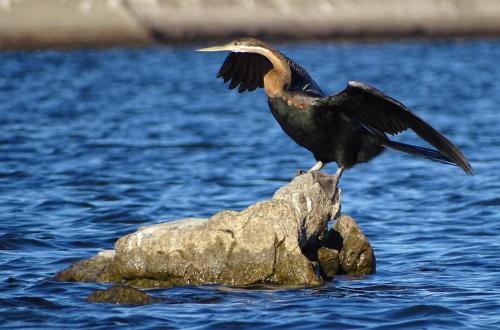 Von Bach Dam Resort Von Bach Dam Resort