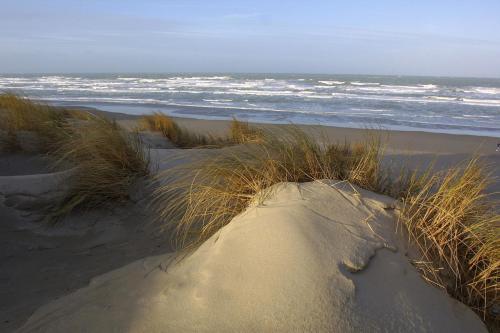 Logis Auberge De La Dune - image 10