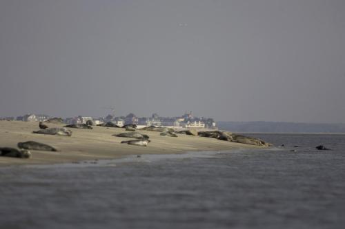 Logis Auberge De La Dune - image 4