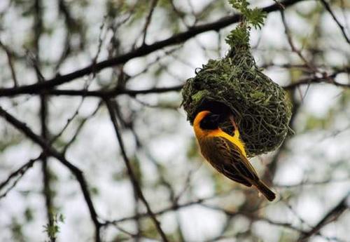 Von Bach Dam Resort Von Bach Dam Resort