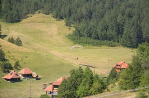 Domacinstvo Prentovic - image 7