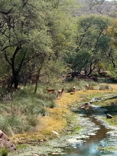 Von Bach Dam Resort Von Bach Dam Resort